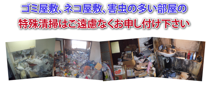 ゴミ屋敷・猫屋敷・害虫の多い部屋の特殊清掃はご遠慮なくお申し付けください。